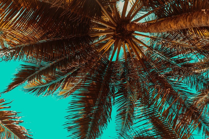 Maldives Paradise